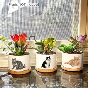 triple-cat-planter-base