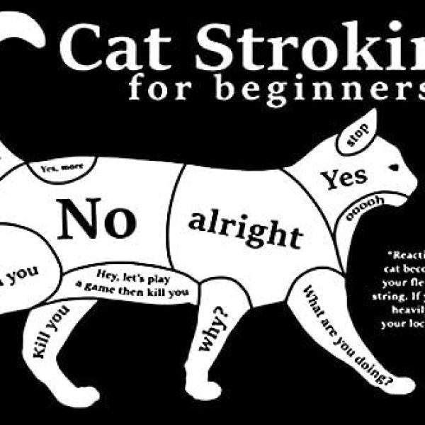 Cat Stroking Guide Wall Art | Humorous Black & White Bathroom Decor