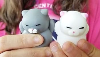 Nutty Toys Squishy Cat Set - Ultimate Stress Relief & Fun Kawaii Silicone Kitties for All Ages